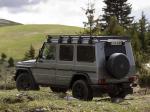 Mercedes-Benz G300 CDI Professional 2010 года